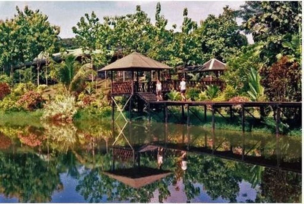 Sepilok Jungle Resort Kültér fotó