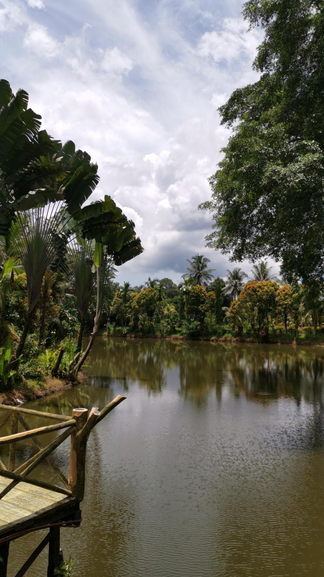 Sepilok Jungle Resort Kültér fotó
