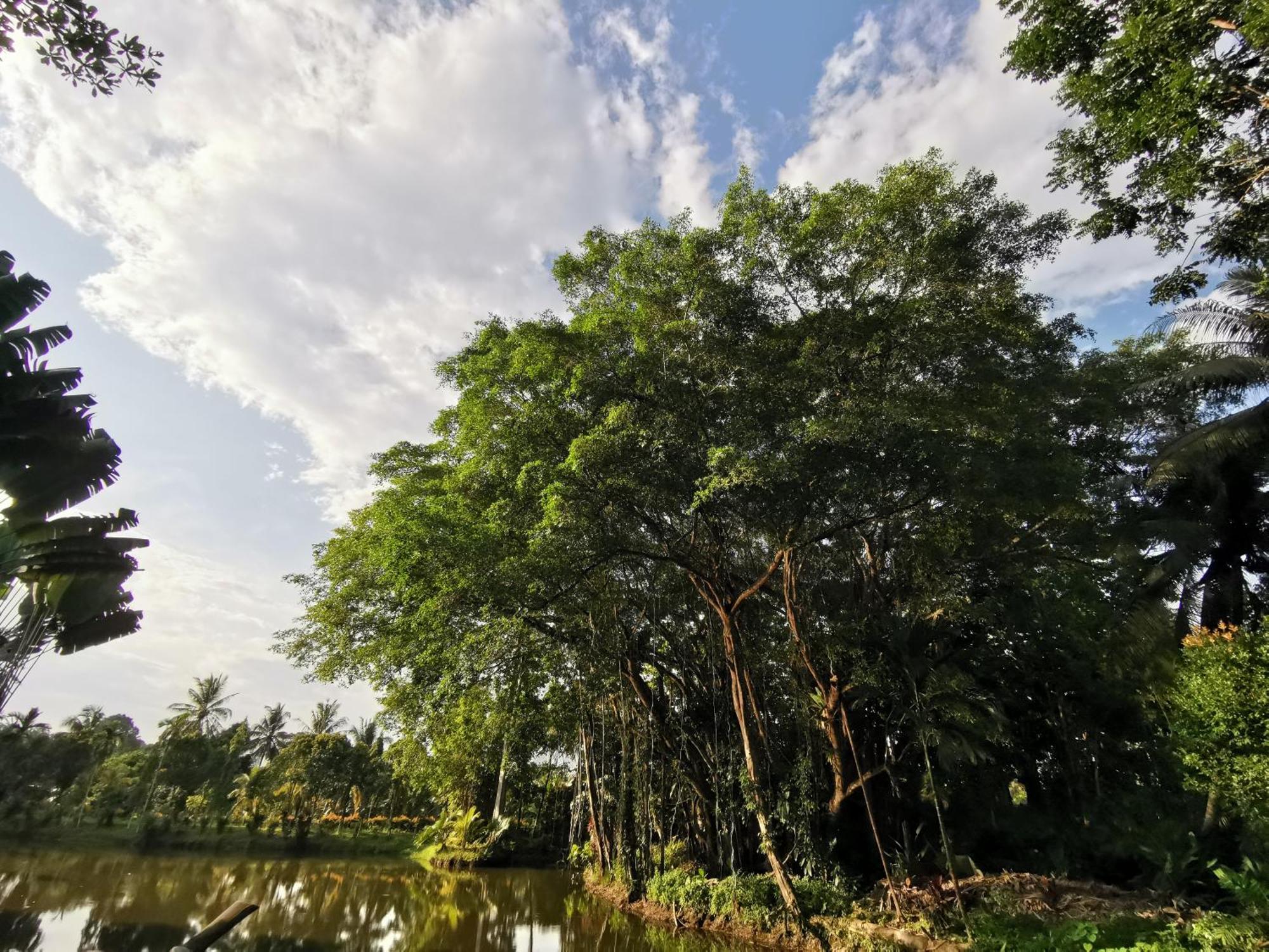 Sepilok Jungle Resort Kültér fotó