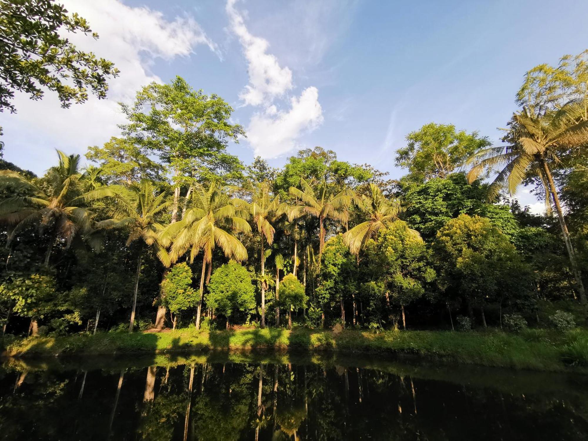 Sepilok Jungle Resort Kültér fotó