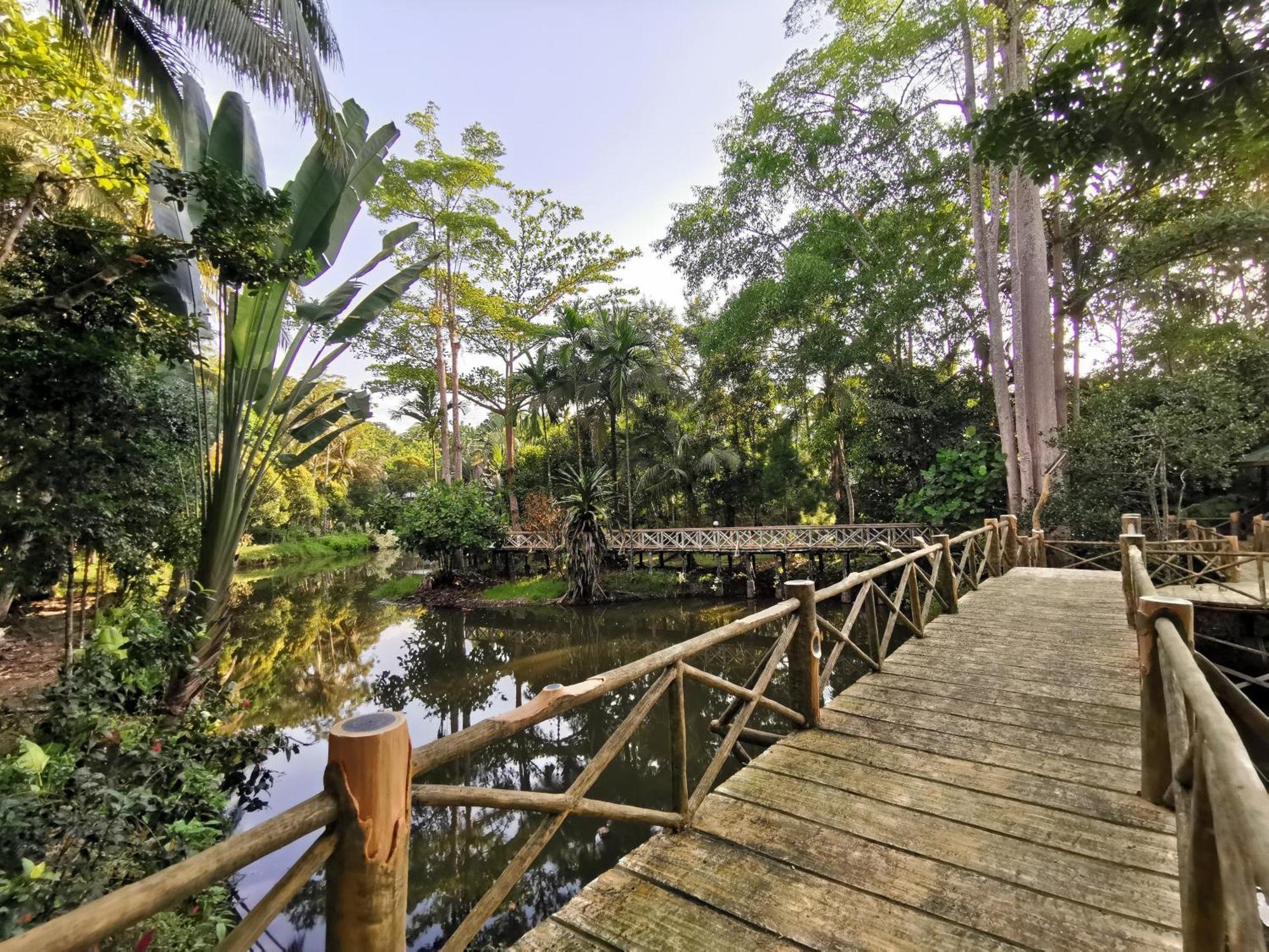 Sepilok Jungle Resort Kültér fotó