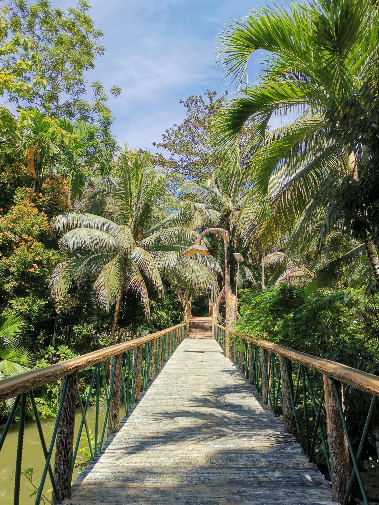 Sepilok Jungle Resort Kültér fotó