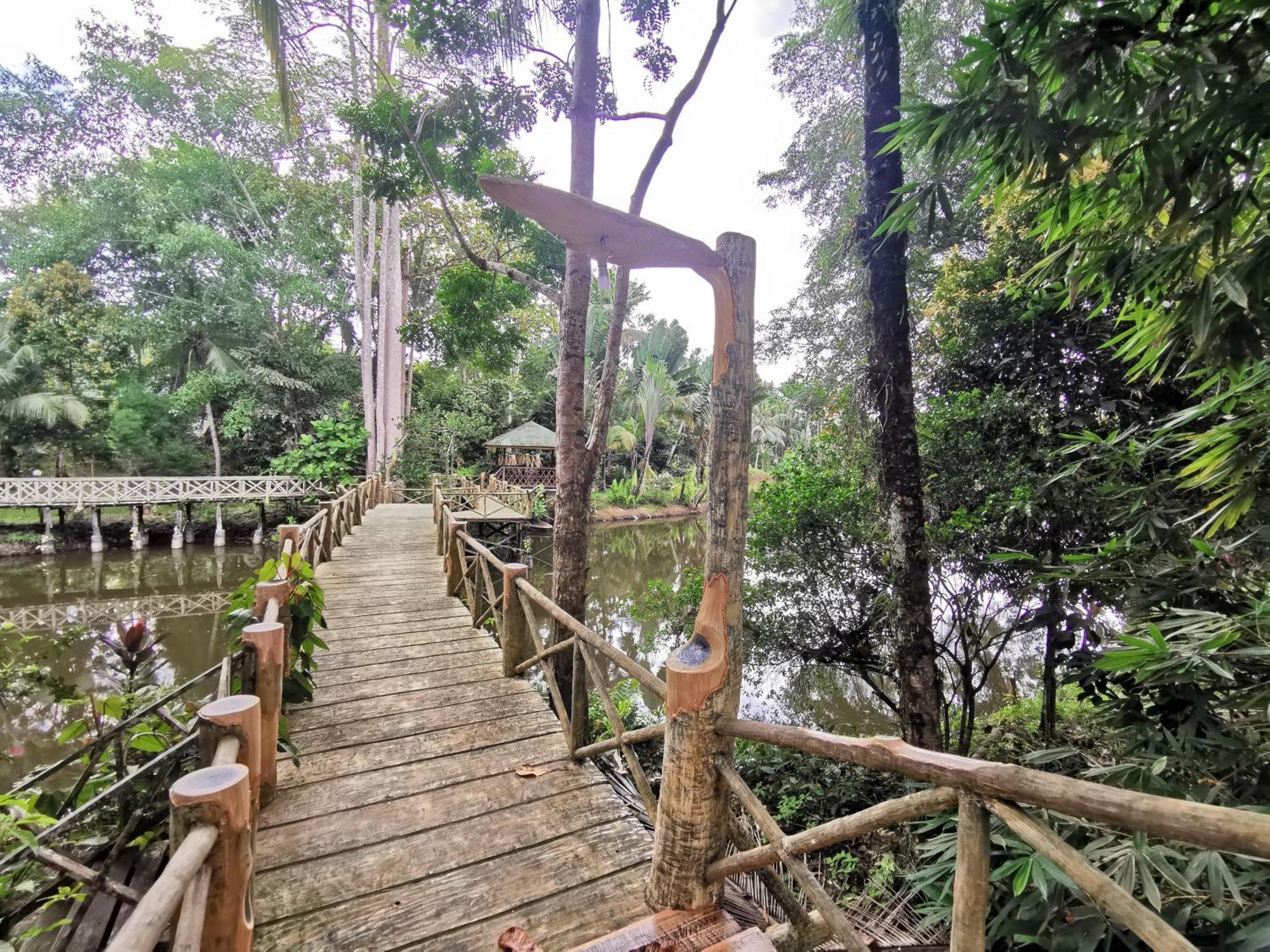 Sepilok Jungle Resort Kültér fotó