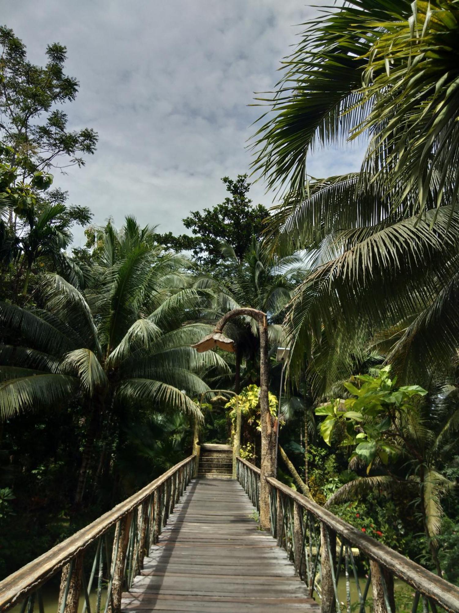Sepilok Jungle Resort Kültér fotó