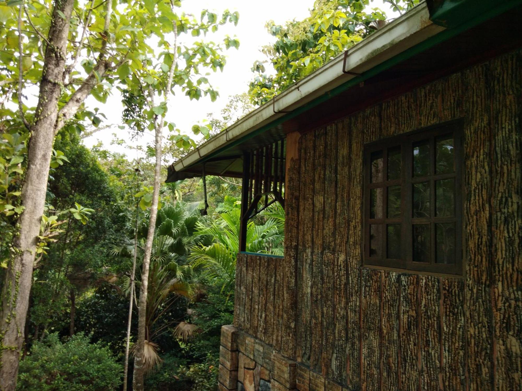 Sepilok Jungle Resort Kültér fotó