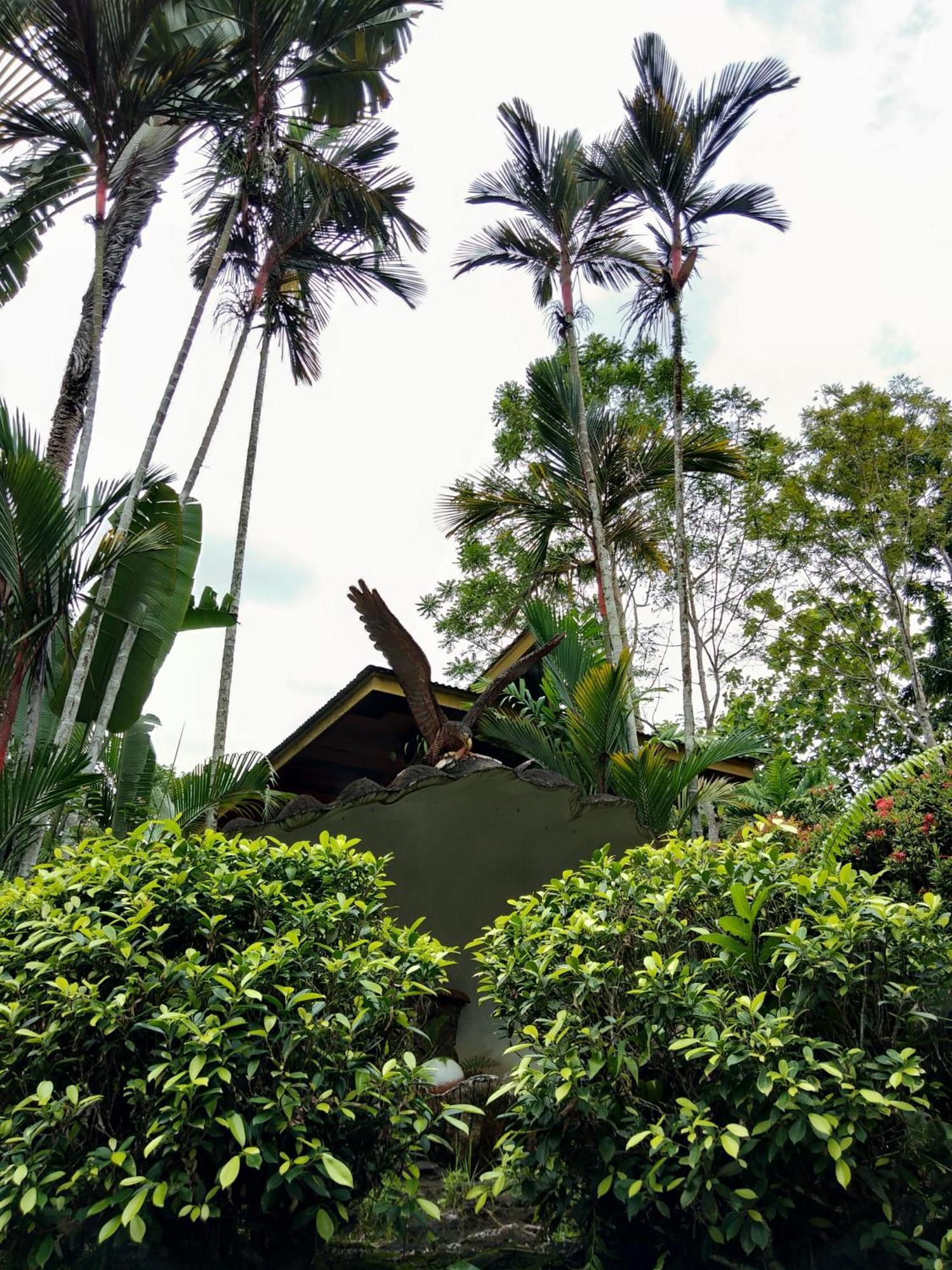 Sepilok Jungle Resort Kültér fotó