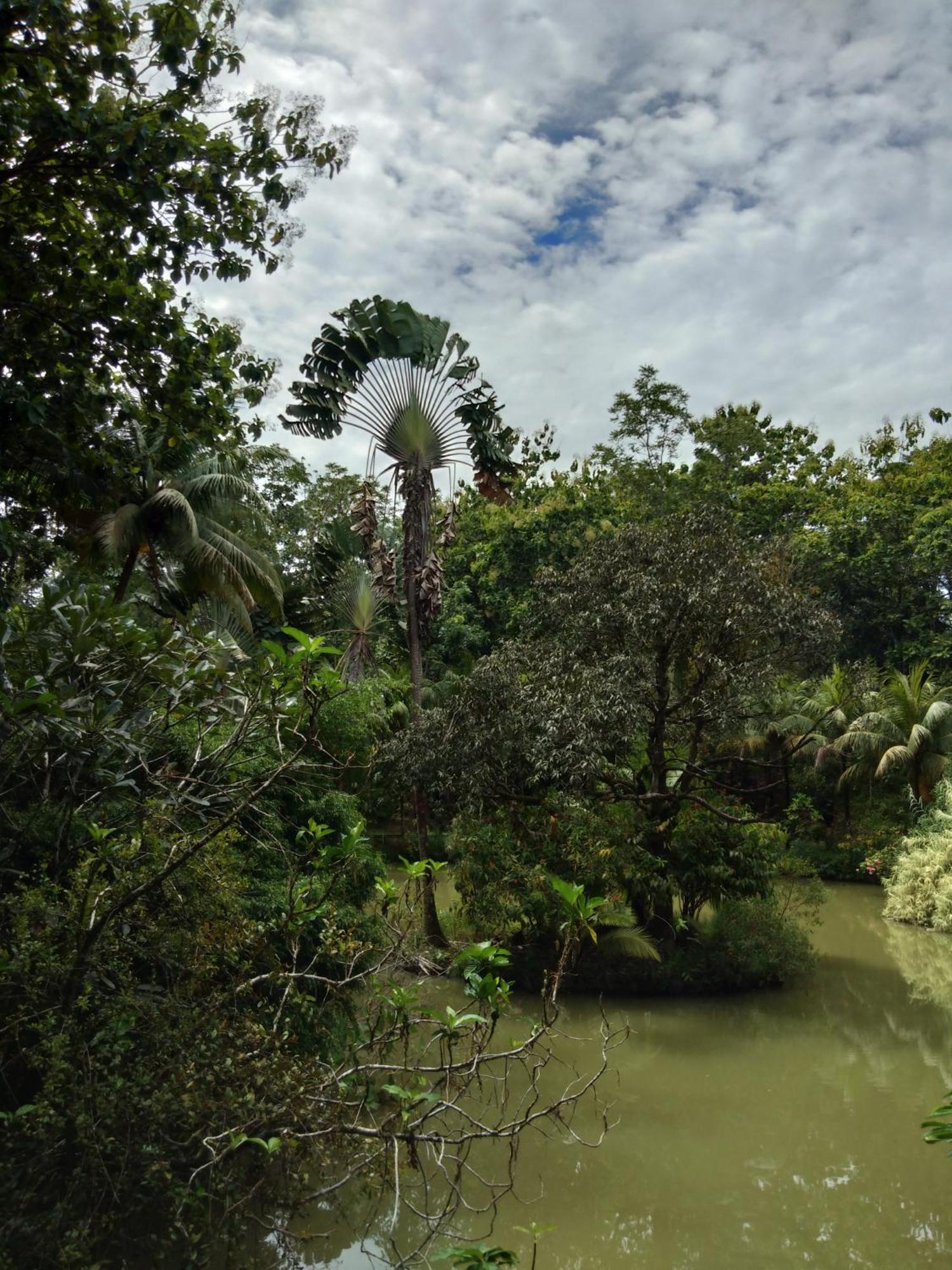 Sepilok Jungle Resort Kültér fotó